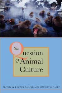 Animal Culture